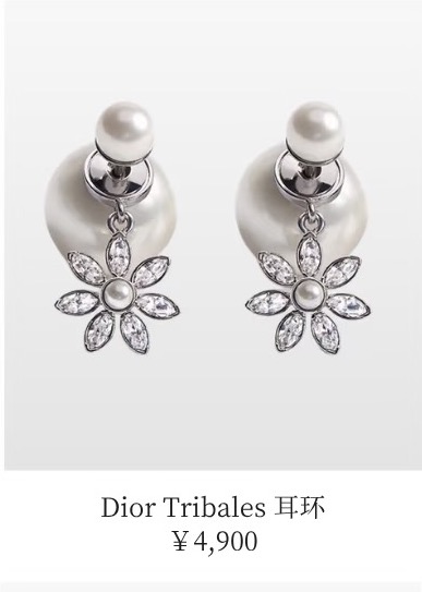 Dior Earring 08yxs56
